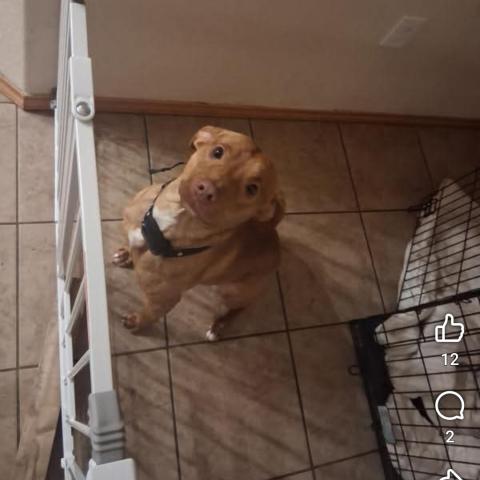 Photo for 159422 [Milo]