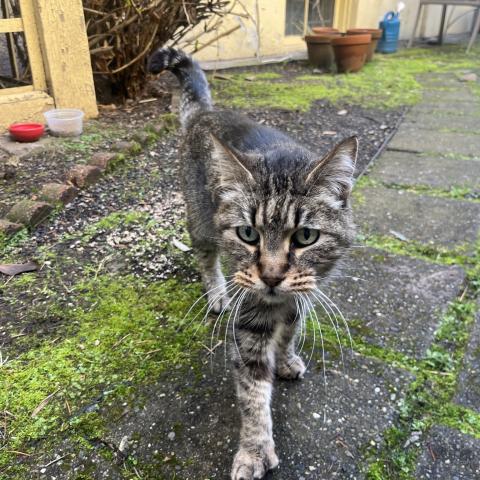 Photo for 159429 [fr159429]