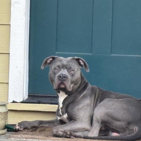 Photo for 159441 [fr159441]