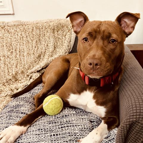 Photo for 159451 [Serena]