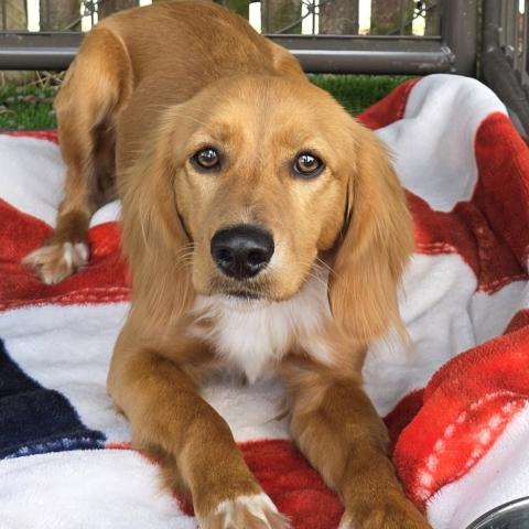 Photo for 159465 [Evelyn]