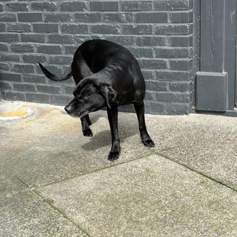 Photo for 159517 [fr159517]