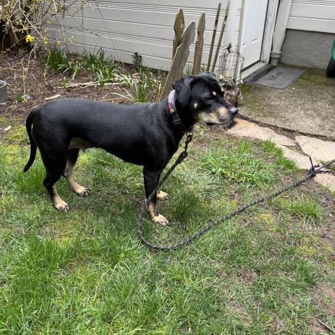 Photo for 159524 [Bowie]