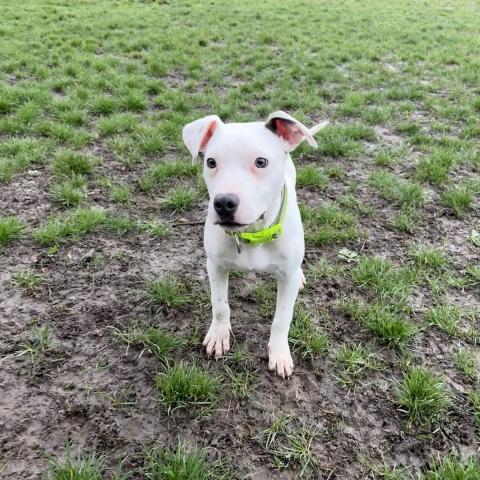 Photo for 159527 [fr159527]