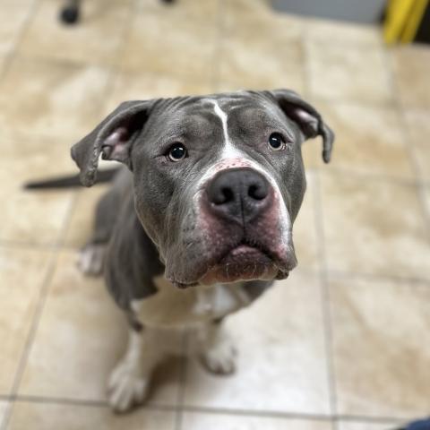 Photo for 159546 [Jojo]