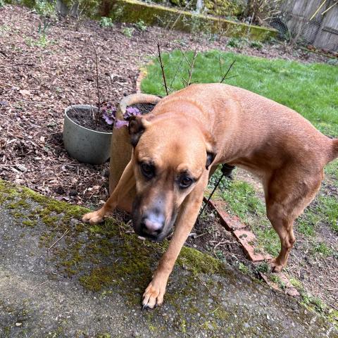 Photo for 159590 [fr159590]