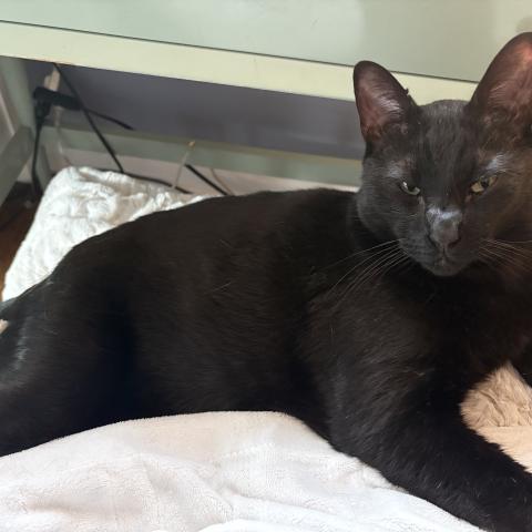 Photo for 159604 [Movhi]