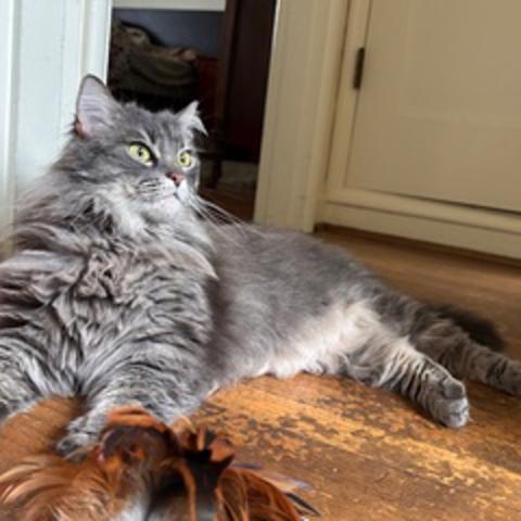 Photo for 159635 [Flora]