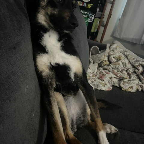 Photo for 159636 [Dreamy]