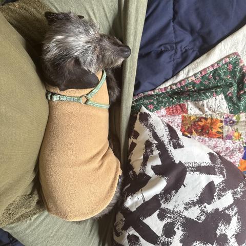 Photo for 159671 [Zahara]