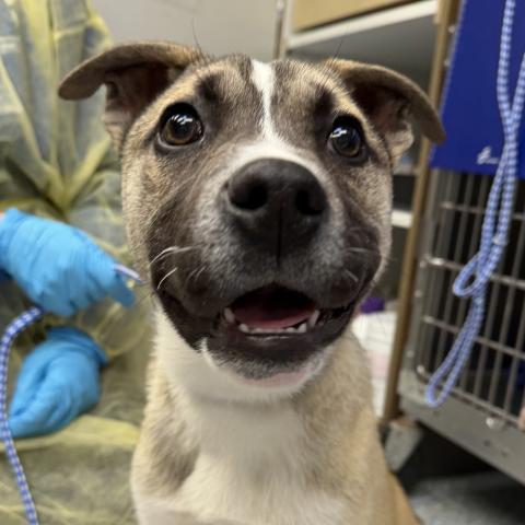 Photo for 159684 [Lewis]