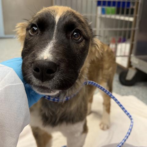 Photo for 159686 [Clark]