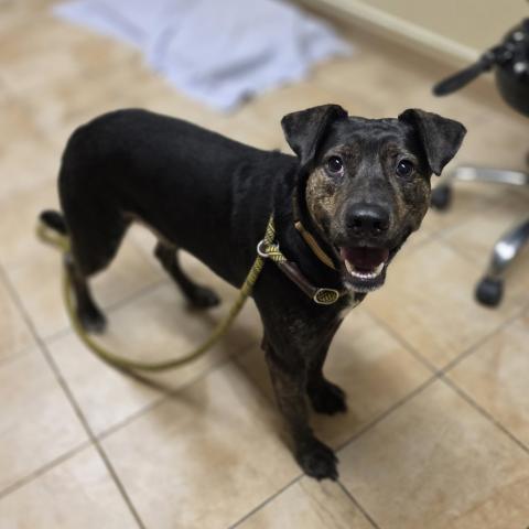 Photo for 159690 [Pudding]