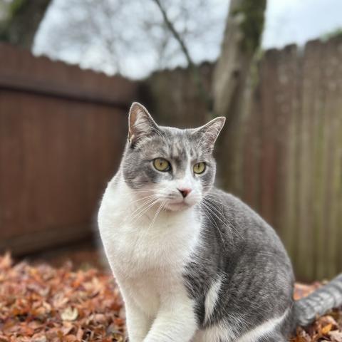 Photo for 159709 [Oliver]