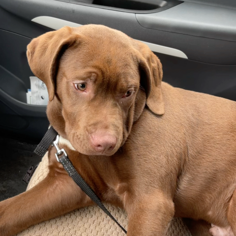 Photo for 159765 [fr159765]