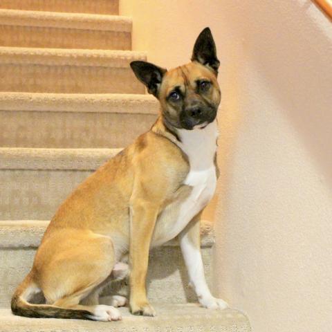 Photo for 159785 [Romy]