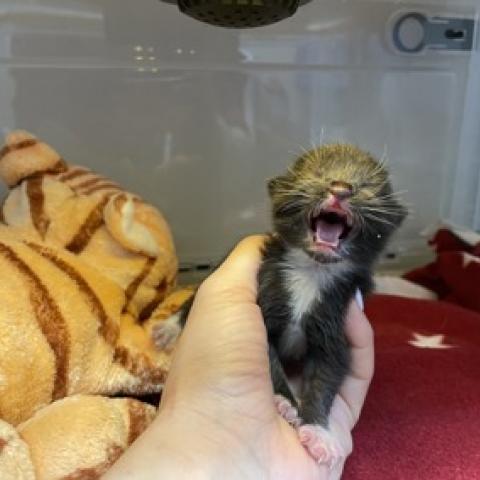 Photo for 159788 [Paulie]