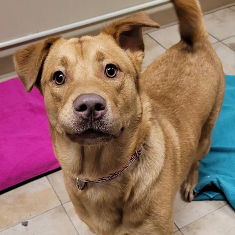 Photo for 159798 [Trinity]