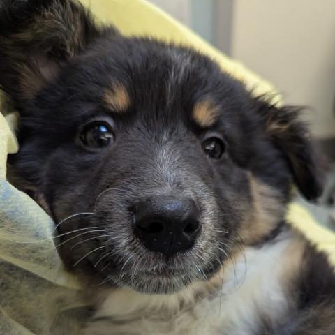 Photo for 159826 [Bug]