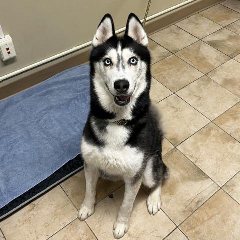 Photo for 159832 [Kane]