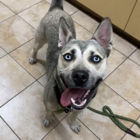 Photo for 159836 [Sadie]