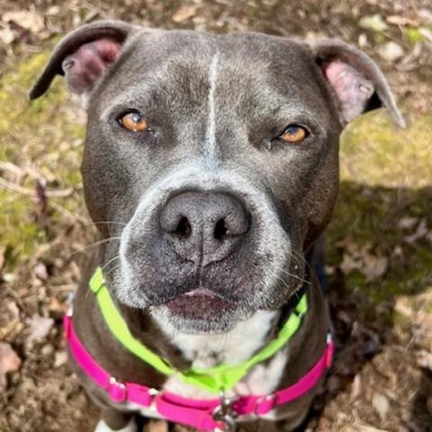 Photo for 159839 [Eeyore]