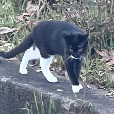 Photo for 159842 [Slick]