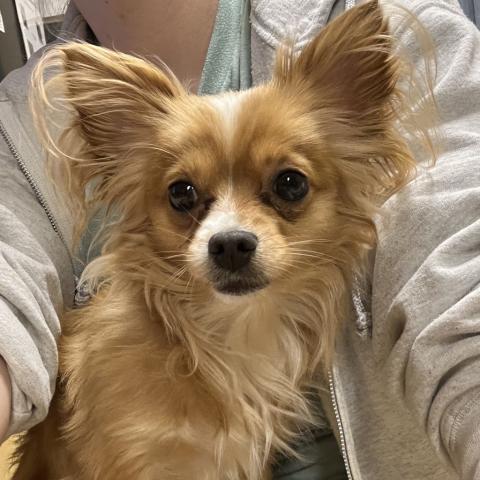 Photo for 159853 [AB]