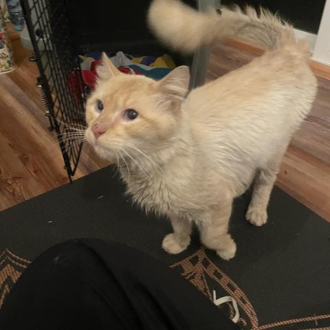 Photo for 159861 [fr159861]