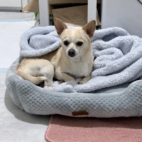 Photo for 159961 [fr159961]