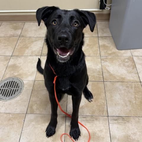 Photo for 159969 [Meeka]