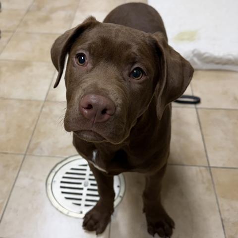 Photo for 159971 [Drake]