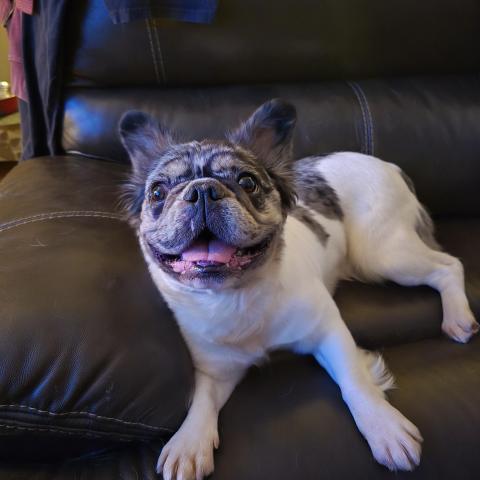 Photo for 159977 [fr159977]