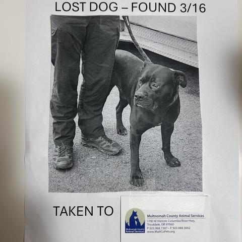 Photo for 159982 [fr159982]