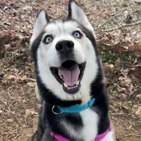 Photo for 160023 [Kane]