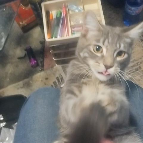 Photo for 160080 [Frankie]