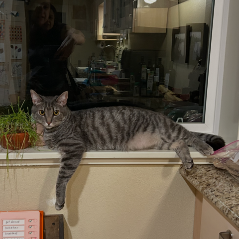 Photo for 160105 [Waffles]