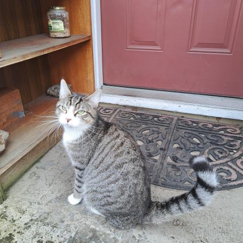 Photo for 160111 [Dyno]