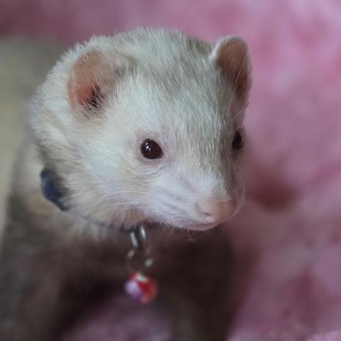 Photo for 160157 [Henry]