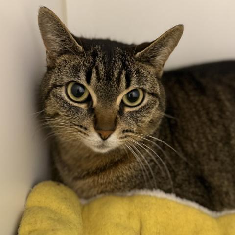 Photo for 160213 [Amber]