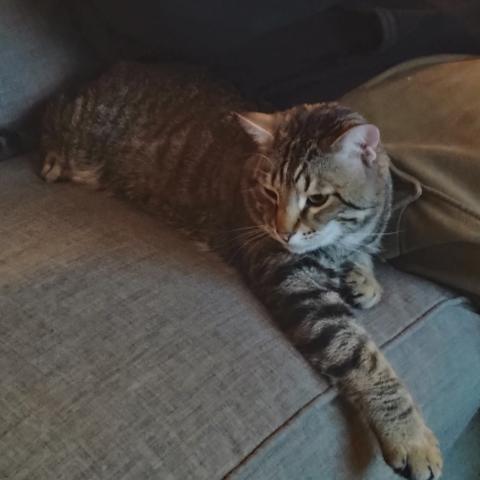 Photo for 160225 [Knuckles]