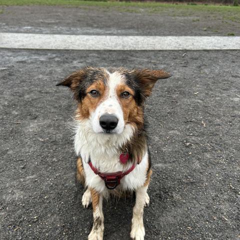 Photo for 160260 [Fred]