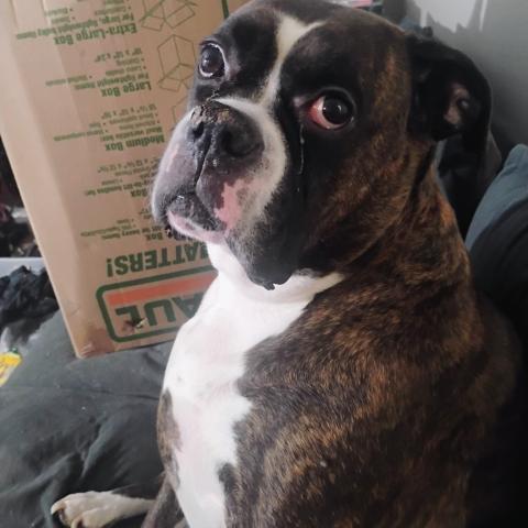 Photo for 160269 [Baby]