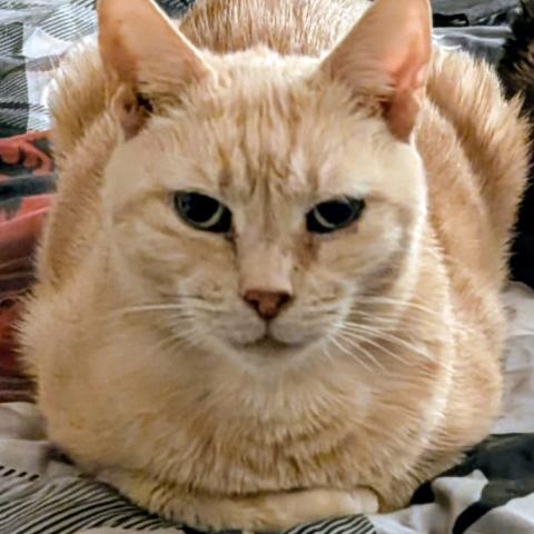 Photo for 160305 [Mike]