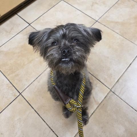 Photo for 160333 [Miley]