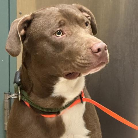 Photo for 160394 [Shade]