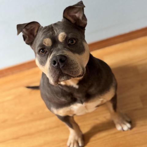 Photo for 160434 [Jane]