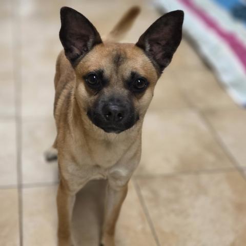 Photo for 160440 [Rico]