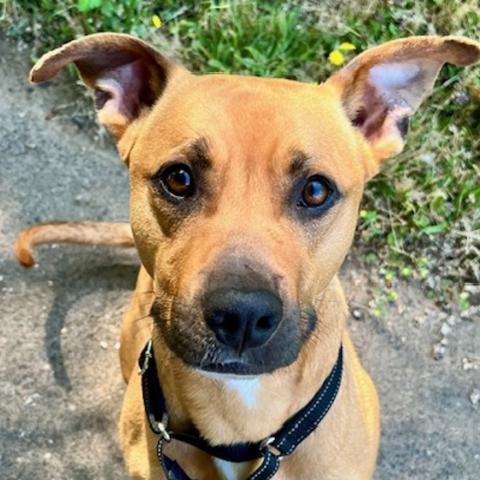 Photo for 160442 [Chico]