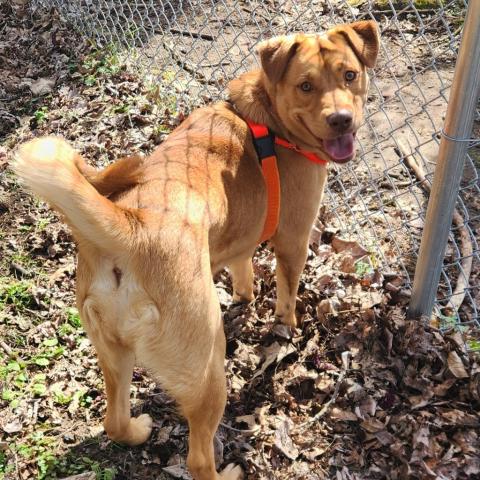 Photo for 160481 [Trinity]